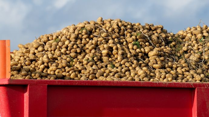 AdobeStock_424132804