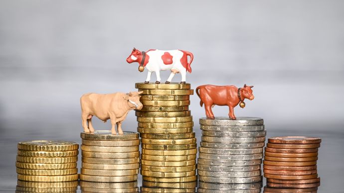 AdobeStock_478066034