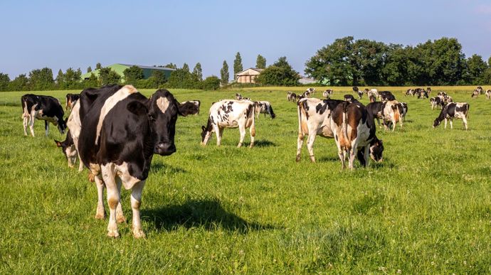 AdobeStock_600825872