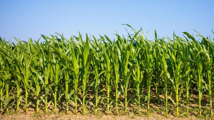 AdobeStock_665041532