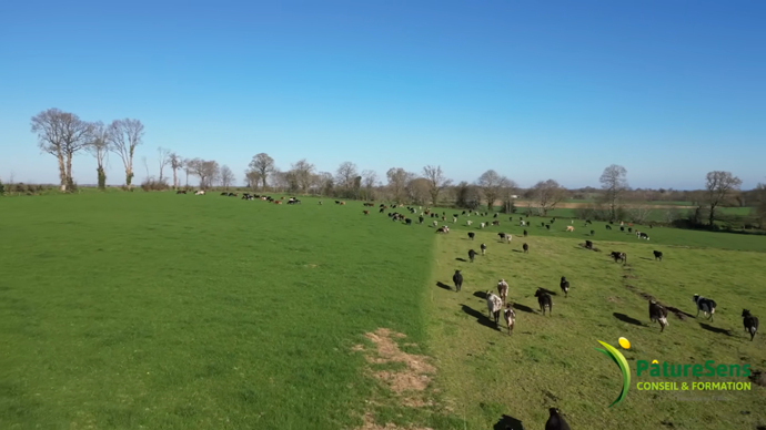 PatureSensElevageMauny