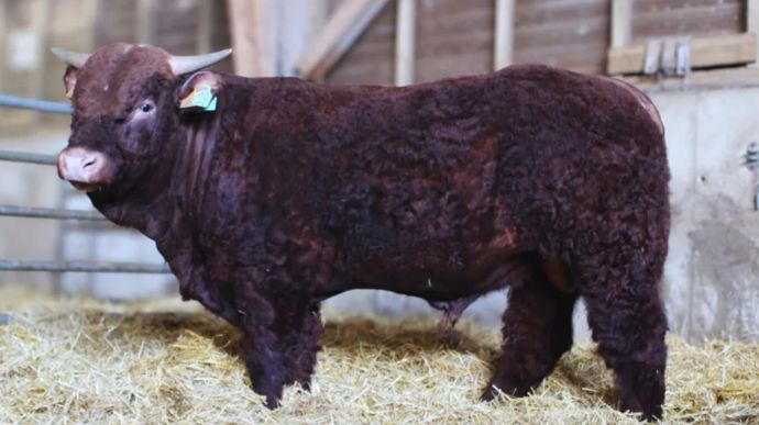 Toppricesalers8avril