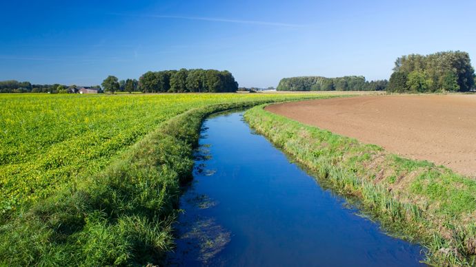 cf88060f-c-ce-que-contient-le-projet-de-loi-d-urgence-agricole