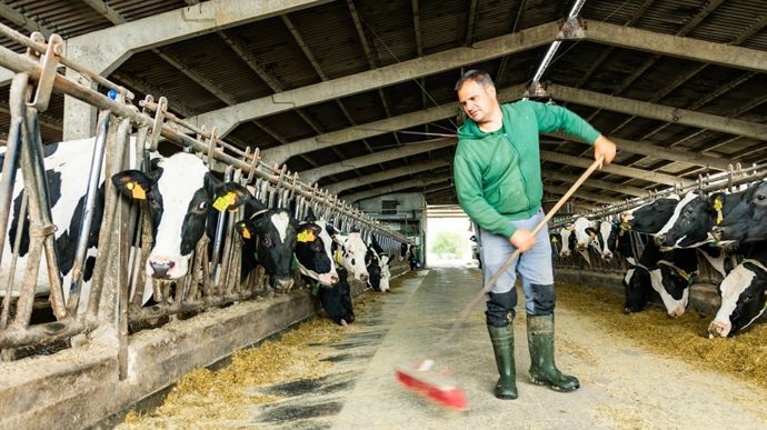 eleveur-stabulation-adobe-stock-pacoocimage