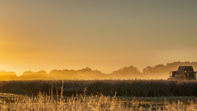 AdobeStock_451039317