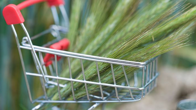 AdobeStock_513814305