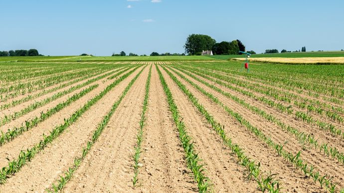 AdobeStock_760324121