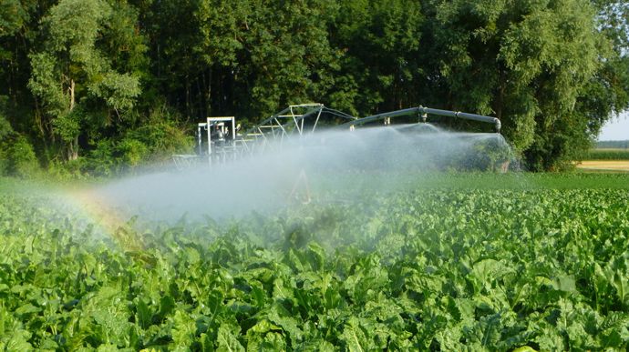 IrrigationBetteraves