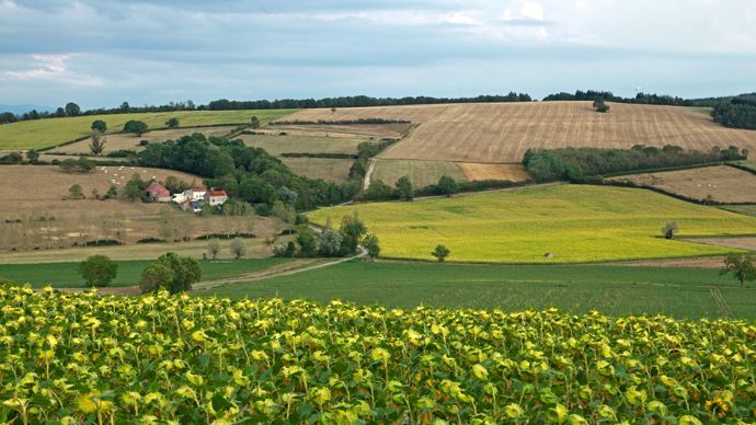 d2e622dd-4-le-projet-de-loi-d-urgence-agricole-entame-son-marathon-dans-l-hemicycle