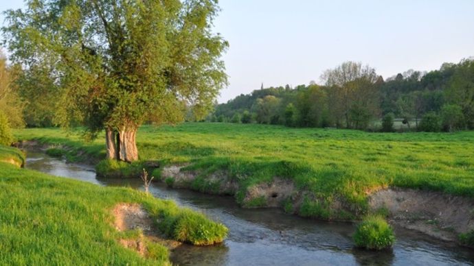 869a3e62-6-la-qualite-de-l-eau-en-bretagne-un-sujet-a-dimension-nationale