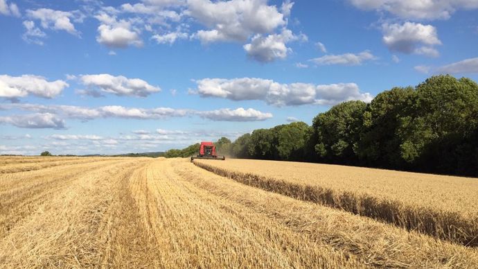 a22590b8-7-les-prix-alimentaires-mondiaux-stables-sur-un-mois-mais-les-cereales-en-hausse