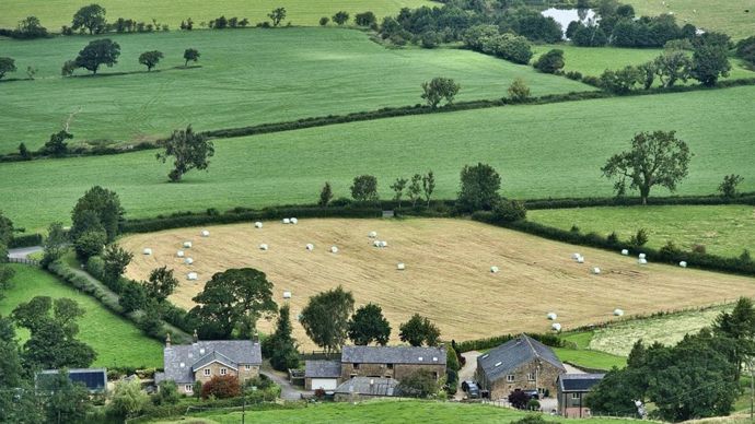 e80bb40d-1-ce-que-contient-le-projet-de-loi-d-urgence-agricole-modifie-par-l-assemblee
