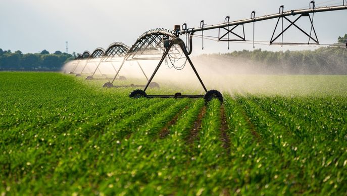 irrigation