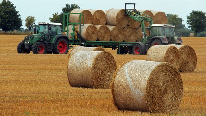kriemer-harvest-4415788