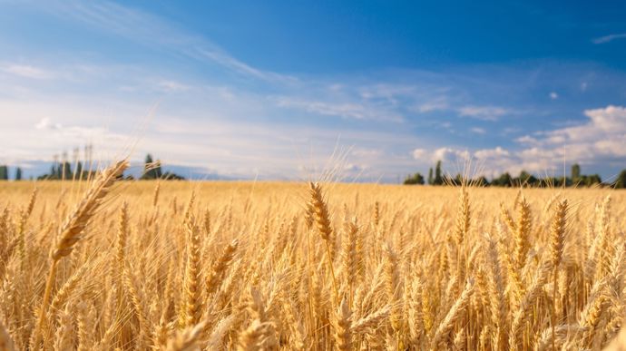 AdobeStock_193177695