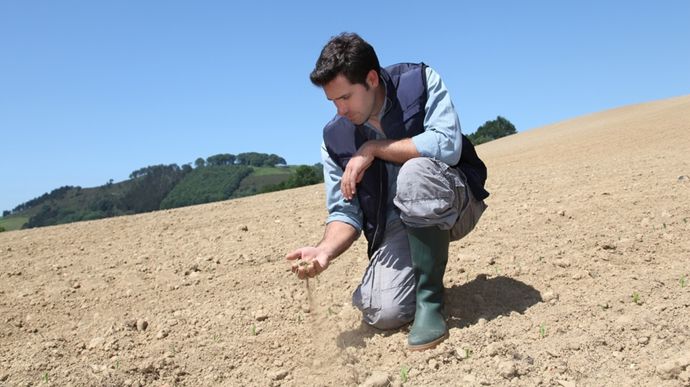 jeune-agriculteur-changement-climatique-adobe-stock-godluz