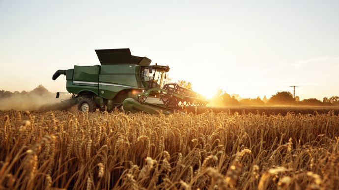 4d96a867-d-en-allemagne-aussi-la-recolte-de-cereales-est-en-forte-baisse