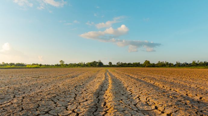 88fabb99-e-lecornu-promet-de-nouvelles-mesures-pour-l-agriculture-dans-le-budget-2027