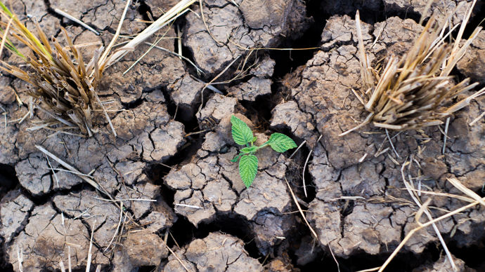 ad1e1165-e-apres-un-ete-devastateur-l-agriculture-ecartelee-face-au-mur-de-la-transition
