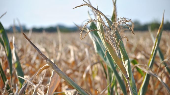 d99cc8fa-2-l-agriculture-a-besoin-de-milliards-d-euros-selon-le-president-de-la-fnsea