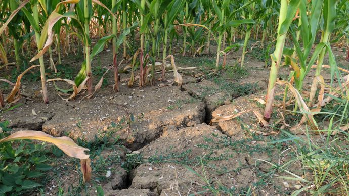 b738da2b-7-l-effort-consenti-par-le-gouvernement-pour-l-agriculture-est-colossal-vu-le-cont
