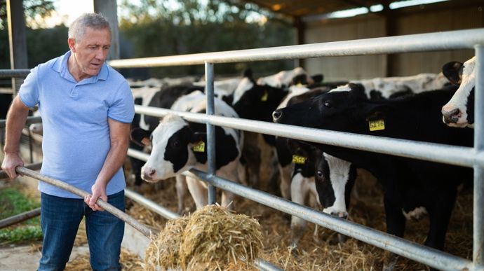 vieil-eleveur-vaches-laitieres-adobe-stock-jackF