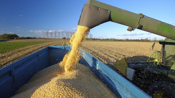 14e602c7-c-la-production-mondiale-de-mais-revue-en-hausse-les-prix-decrochent