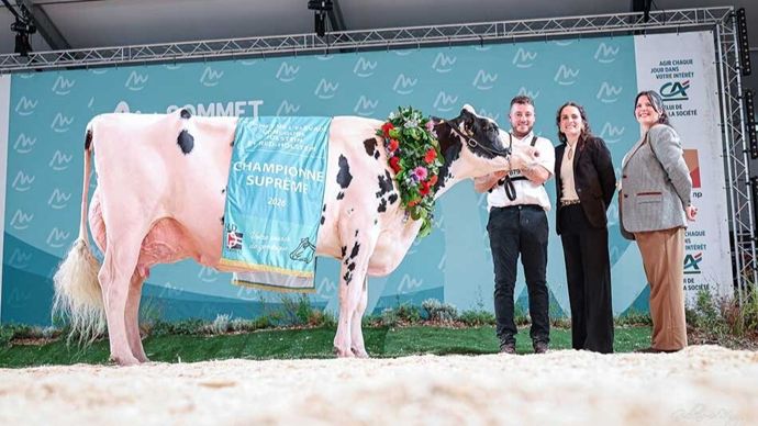 GrandeChampionneHolstein