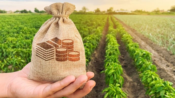 c2f375fe-b-budget-de-l-agriculture-les-deputes-adopte-une-hausse-de-plus-de-800-m