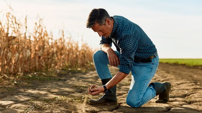 jeune-agriculteur-secheresse-adobe-stock-oticki