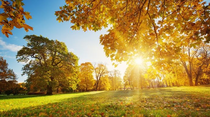 paysage-automne